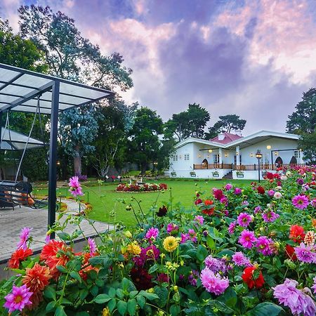 La Grande Villa Нувара Елия Екстериор снимка